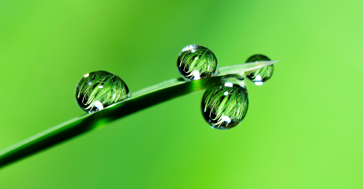 volver al origen ASÍ FUE #TENDENCIASDIGITALES2018, EL EVENTO ACADÉMICO DEL AÑO