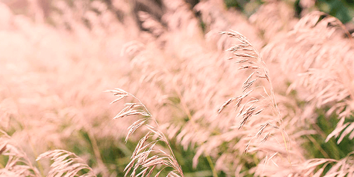 resumen tendencias 2018 1 RESUMEN TENDENCIAS DIGITALES 2018