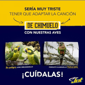 contenido tematico jet QUE ES EL MARKETING DE CONTEXTO