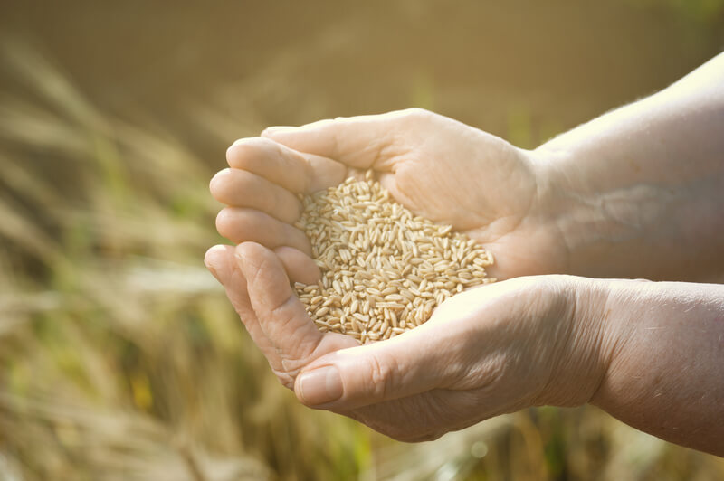 industria_alimentaria_cuidar_medio_ambiente_tendencias_gastronomicas_SM_Digital